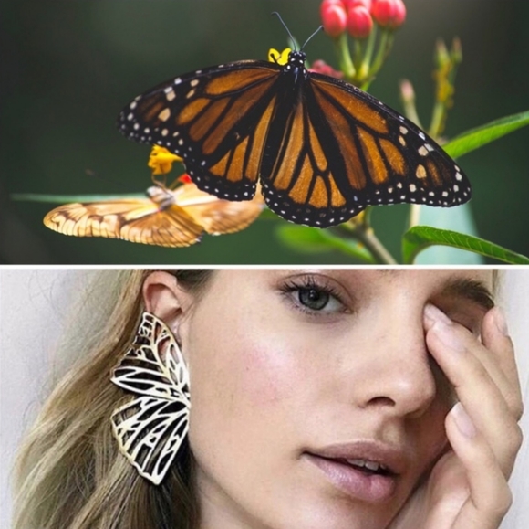 Jewelry - 💎 Silver Filigree Butterfly Wing Earrings